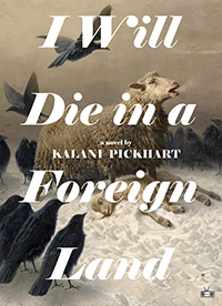 Book cver: I WIll Die in a Foreign Land