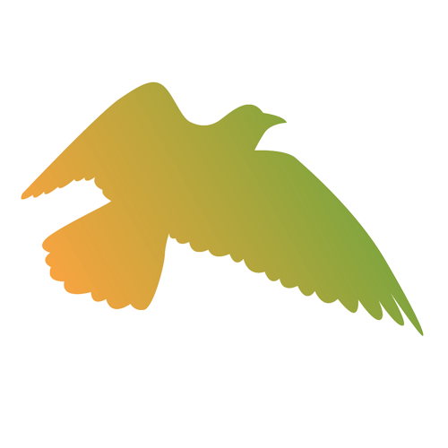 Sillhouette of a bird