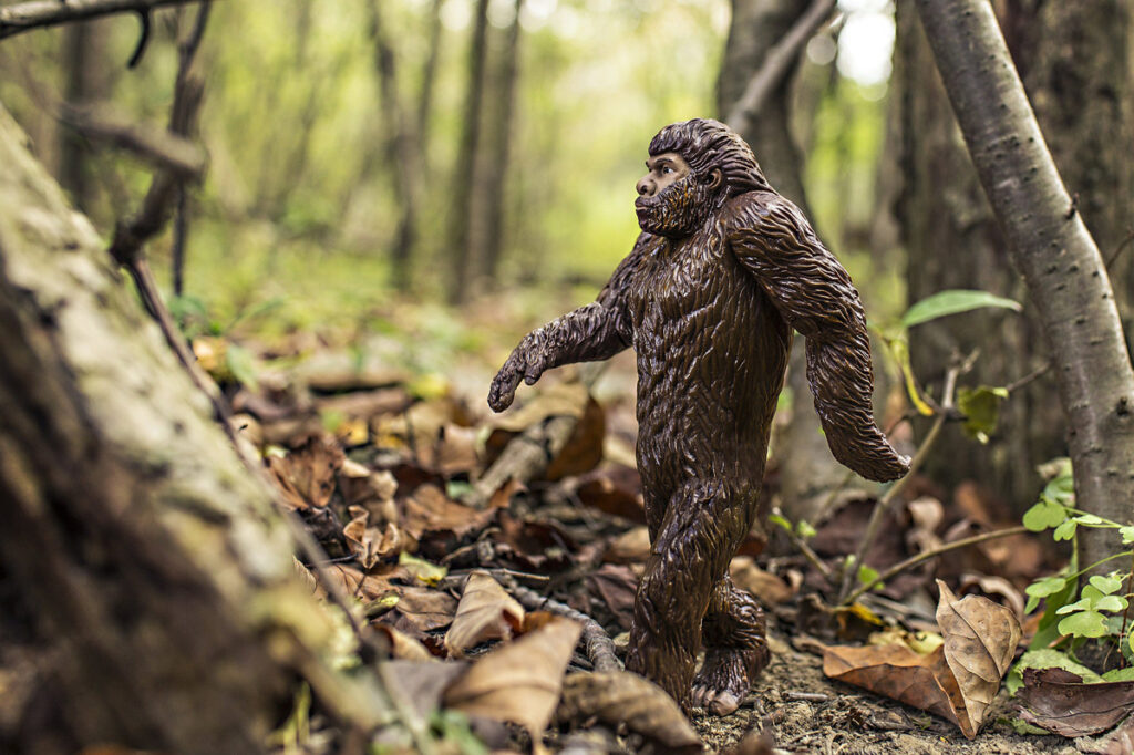 Bigfoot in the forest