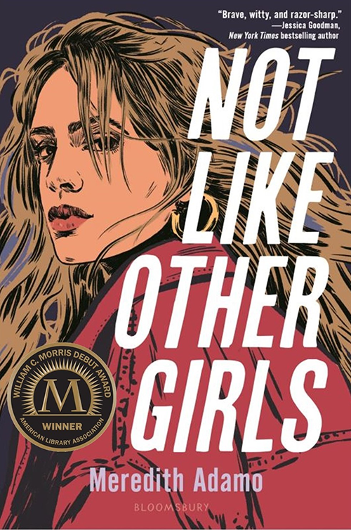 Book cover: Not Like Other Girls