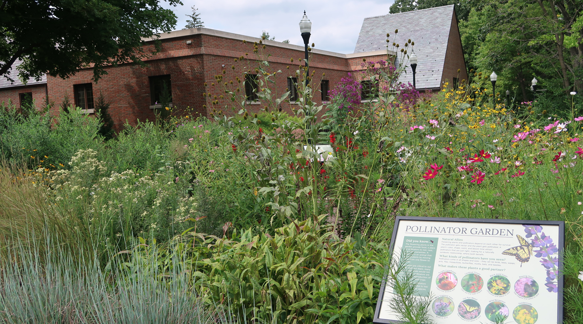 Wright Memorial Public Library exterior with garden plaque