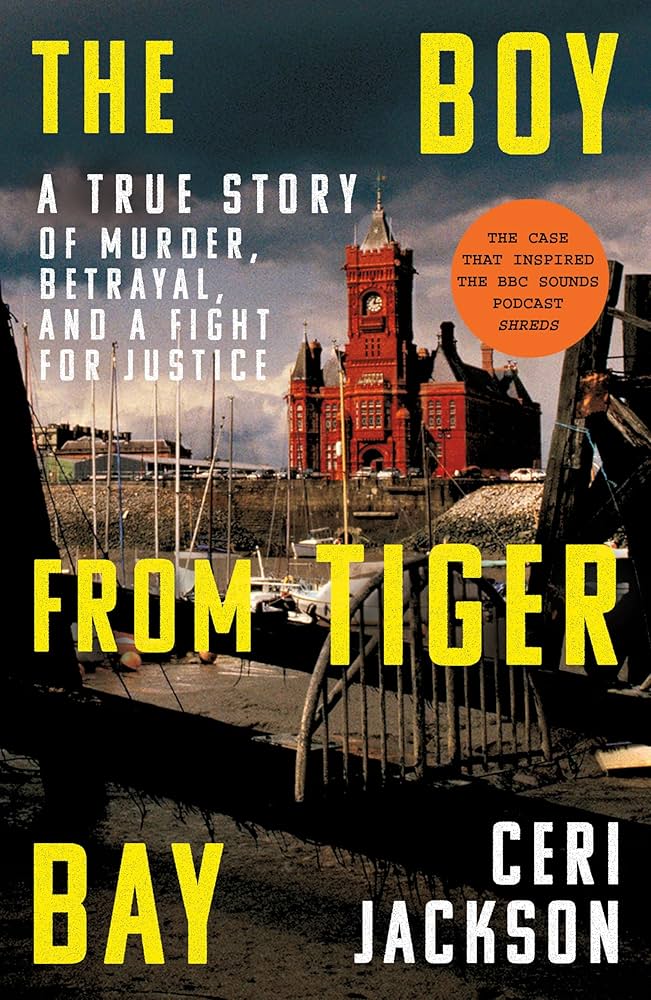 The Boy from Tiger Bay book cover