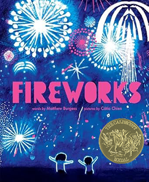 Book Cover: Fireworks