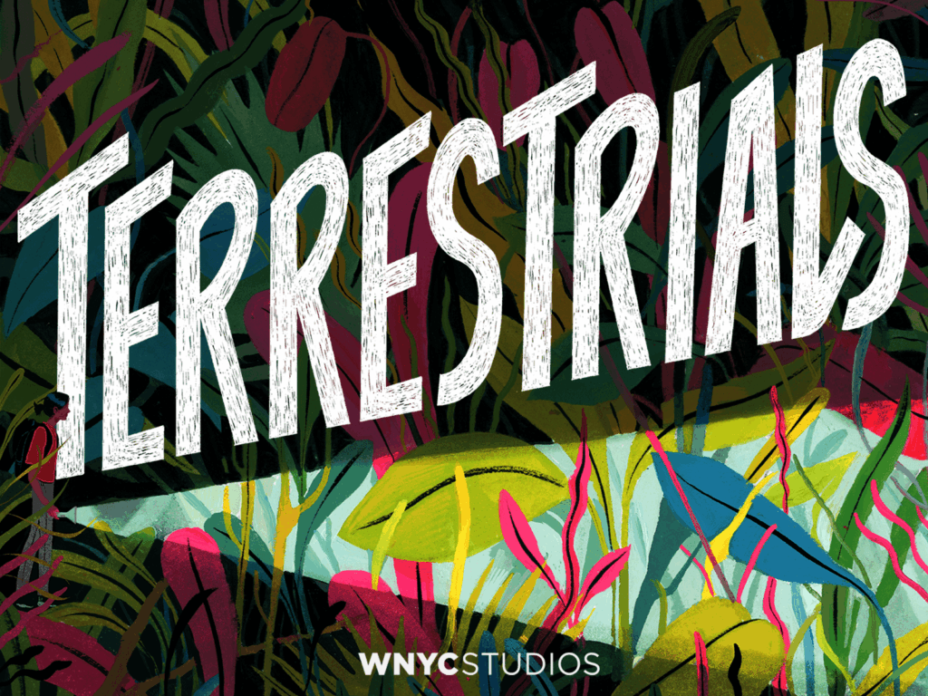 Screenshot: Terrestrials