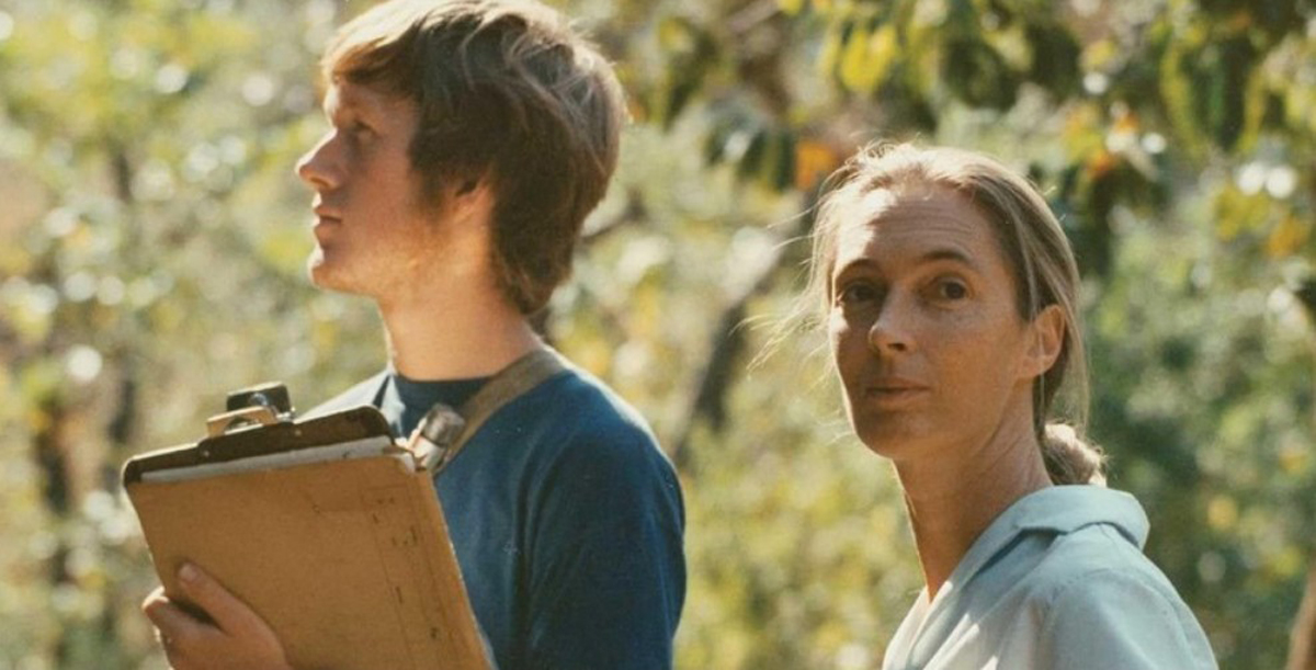 Cover detail of Following Fifi