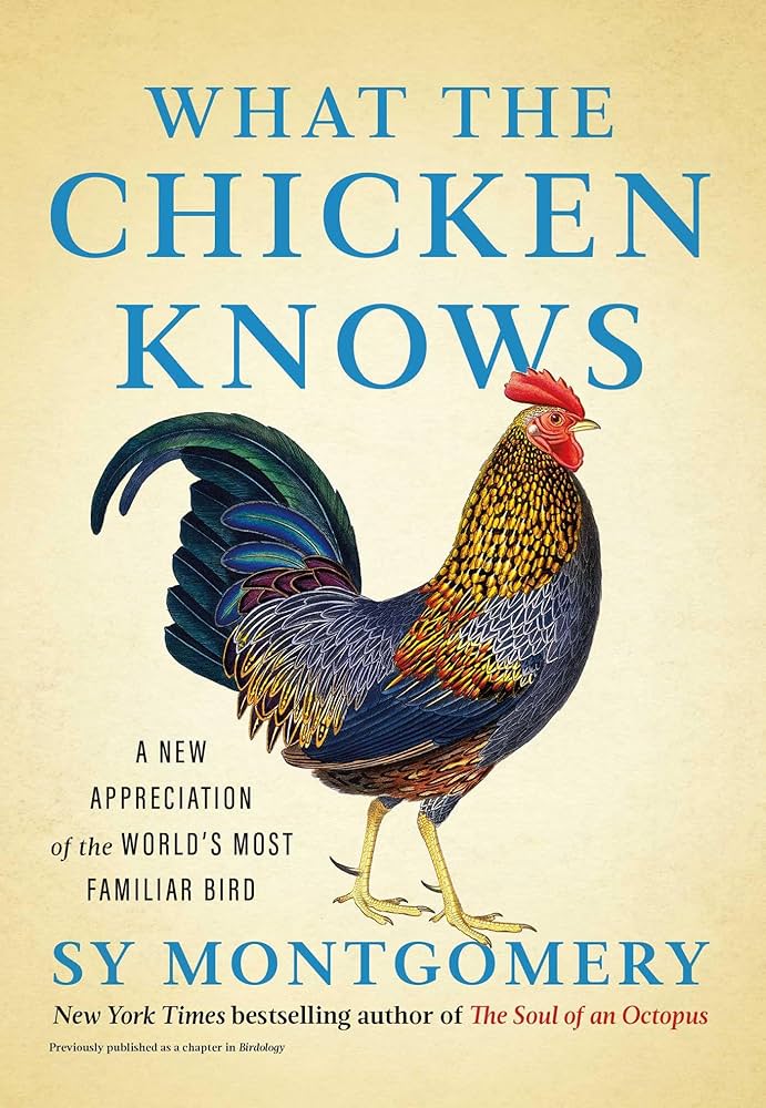 What the Chicken Knows