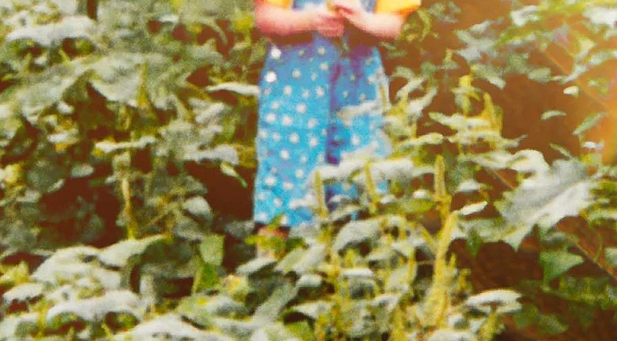 All That's Unseen book cover detail
