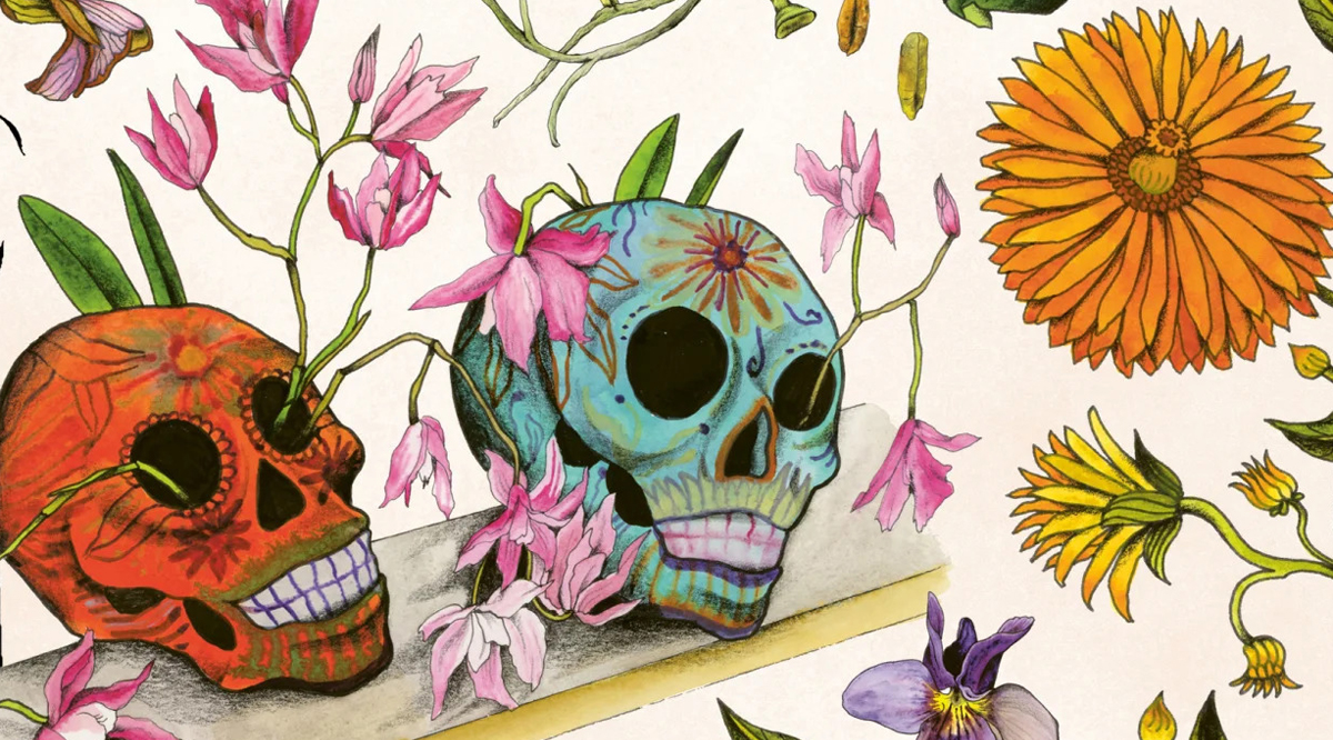 The Book of Disappearing PlantS book cover